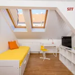 Rent 4 bedroom apartment of 25 m² in Praha 4