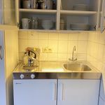 Rent 1 bedroom apartment of 45 m² in Frankfurt