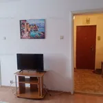 Rent 1 bedroom apartment of 28 m² in Timișoara