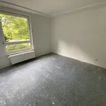 Miete 4 Schlafzimmer wohnung von 66 m² in Essen