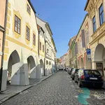 Pronajměte si 1 ložnic/e byt o rozloze 43 m² v České Budějovice