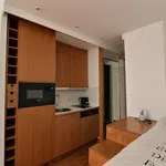 Rent 1 bedroom apartment of 30 m² in Paris