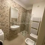 1-bedroom flat 50 m², Centro, Mantua