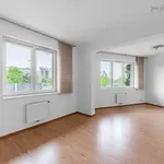 Pronajměte si 1 ložnic/e byt o rozloze 53 m² v Prague