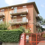 Rent 5 bedroom apartment of 154 m² in Catania