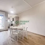 Rent 3 bedroom apartment of 85 m² in Torino