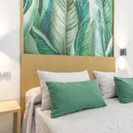 Rent 1 bedroom apartment of 50 m² in Cordoba