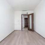 Rent 3 bedroom apartment of 60 m² in Prague