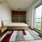 Rent 4 bedroom apartment of 150 m² in Praha