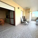 Rent 3 bedroom apartment of 65 m² in Roma