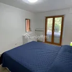 Rent 1 bedroom apartment in Siena