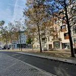 Rent 1 bedroom apartment in Antwerpen