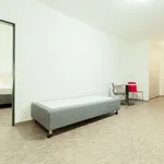 Rent 2 bedroom apartment in Prague