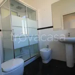 Rent 4 bedroom apartment of 210 m² in Torino