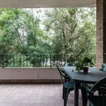 Rent 4 bedroom apartment of 60 m² in Seveso