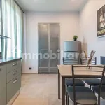 Rent 2 bedroom apartment of 50 m² in Turin