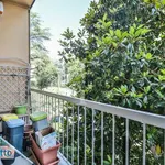 Rent 3 bedroom apartment of 75 m² in Bologna