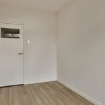 Huur 3 slaapkamer appartement van 85 m² in Randwijck Oost