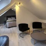 Kamer van 300 m² in brussels