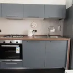 Rent 2 bedroom apartment in turin