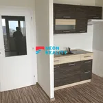 Rent 1 bedroom apartment of 31 m² in Orlová