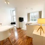 Rent 1 bedroom apartment of 25 m² in Aachen