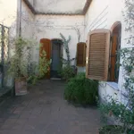 Rent 5 bedroom house of 302 m² in Rome