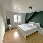 Maison de 61 m² avec 1 chambre(s) en location à Liedekerke