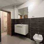 Rent 2 bedroom apartment of 65 m² in Bologna