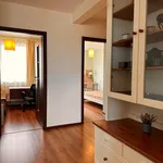 Rent 4 bedroom apartment of 75 m² in Łódź