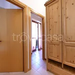 Rent 5 bedroom apartment of 70 m² in Aprica