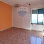 Rent 3 bedroom apartment of 70 m² in Pompei