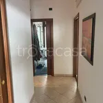 Rent 5 bedroom apartment of 125 m² in Torino