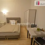 Rent 1 bedroom apartment of 30 m² in Prague