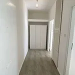 Rent 1 bedroom apartment in berlin