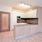 Rent 2 bedroom apartment of 55 m² in Praha