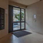 Rent 1 bedroom apartment in Porto