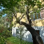 Rent 7 bedroom house of 200 m² in Wien