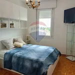 Rent 2 bedroom apartment of 50 m² in Treviso