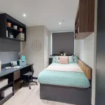 Rent 1 bedroom flat in Brighton