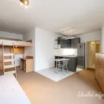 Rent 1 bedroom apartment of 41 m² in Capital City of Prague