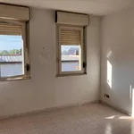 Rent 3 bedroom apartment of 75 m² in Rome