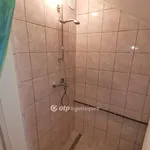 Rent 3 bedroom house of 110 m² in Békéscsaba