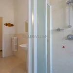 Rent 4 bedroom apartment of 134 m² in Milano