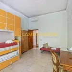 Rent 3 bedroom apartment of 90 m² in Roma