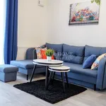 Rent 1 bedroom apartment of 30 m² in Wrocław