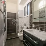 Rent 1 bedroom apartment in Praha