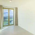 Rent 3 bedroom apartment in Waregem