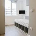 Rent 8 bedroom apartment in dublin