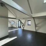 Rent 4 bedroom apartment of 251 m² in Nieuwe Werk